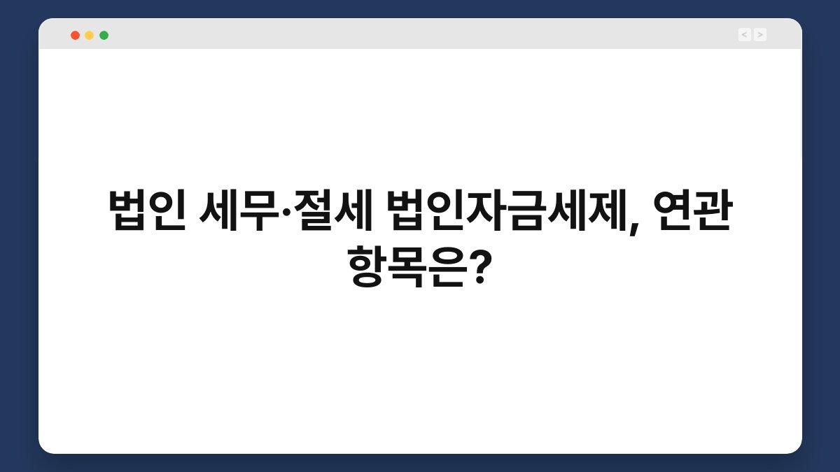 법인 세무·절세 법인자금세제, 연관 항목은? 1