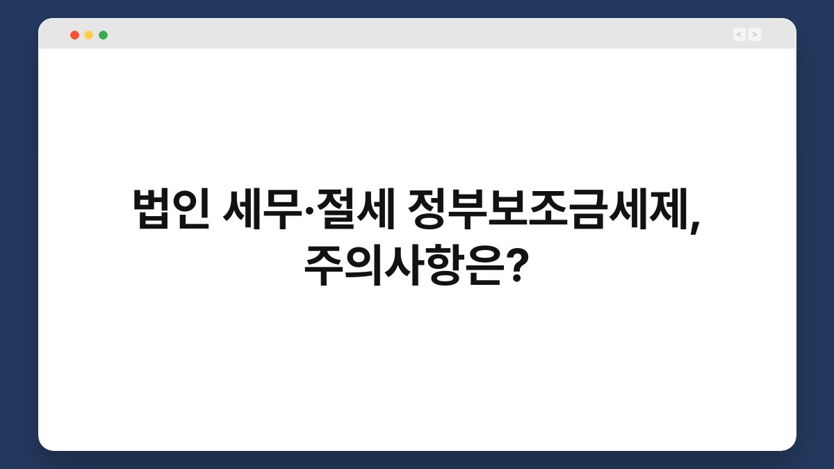 법인 세무·절세 정부보조금세제, 주의사항은? 1