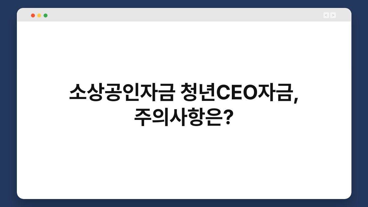 소상공인자금 청년CEO자금, 주의사항은? 1