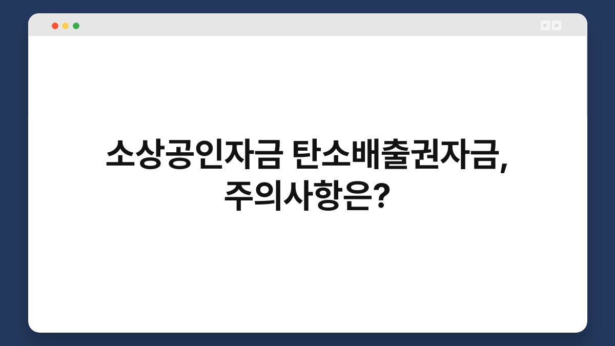 소상공인자금 탄소배출권자금, 주의사항은? 1