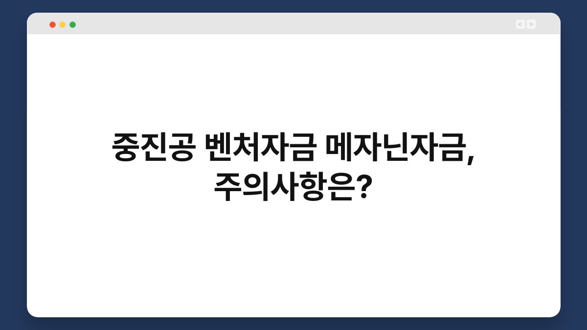중진공 벤처자금 메자닌자금, 주의사항은? 1