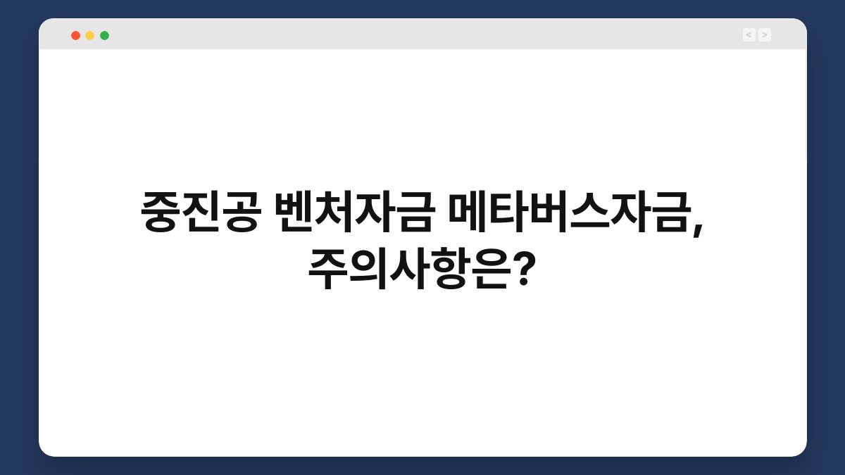 중진공 벤처자금 메타버스자금, 주의사항은? 1
