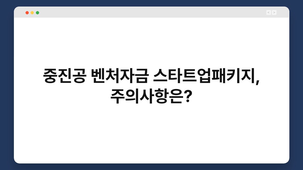 중진공 벤처자금 스타트업패키지, 주의사항은? 1