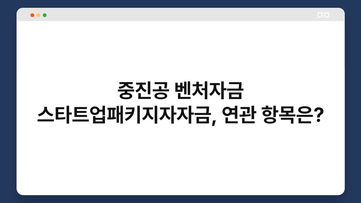 중진공 벤처자금 스타트업패키지자자금, 연관 항목은? 1