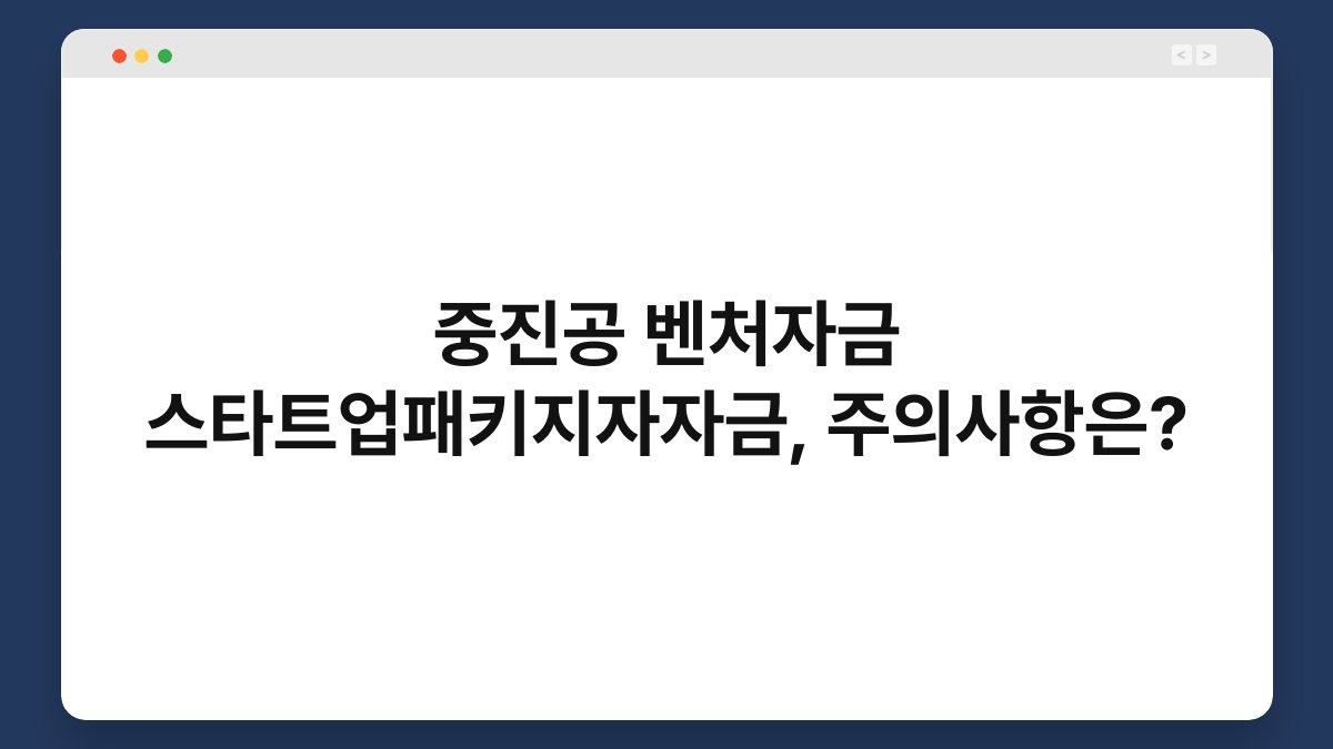 중진공 벤처자금 스타트업패키지자자금, 주의사항은? 1