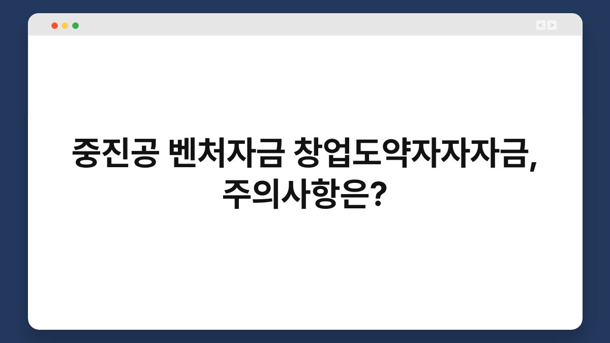 중진공 벤처자금 창업도약자자자금, 주의사항은? 1