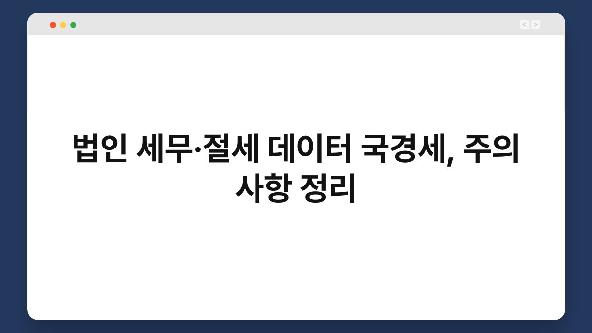 법인 세무·절세 데이터 국경세, 주의 사항 정리 1