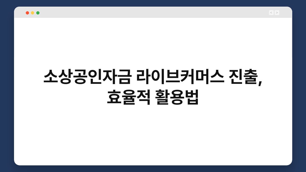 소상공인자금 라이브커머스 진출, 효율적 활용법 1