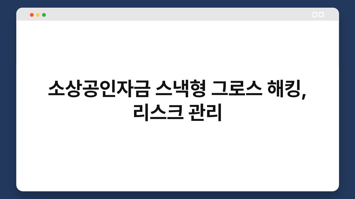 소상공인자금 스낵형 그로스 해킹, 리스크 관리 1