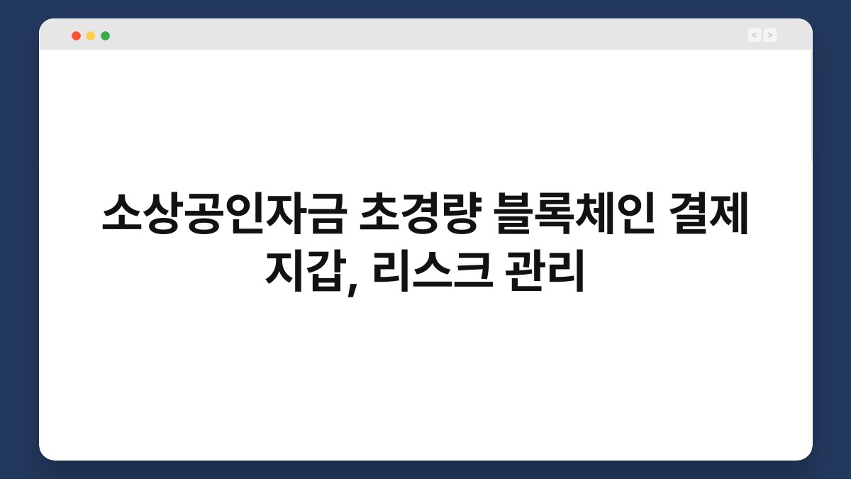 소상공인자금 초경량 블록체인 결제 지갑, 리스크 관리 1