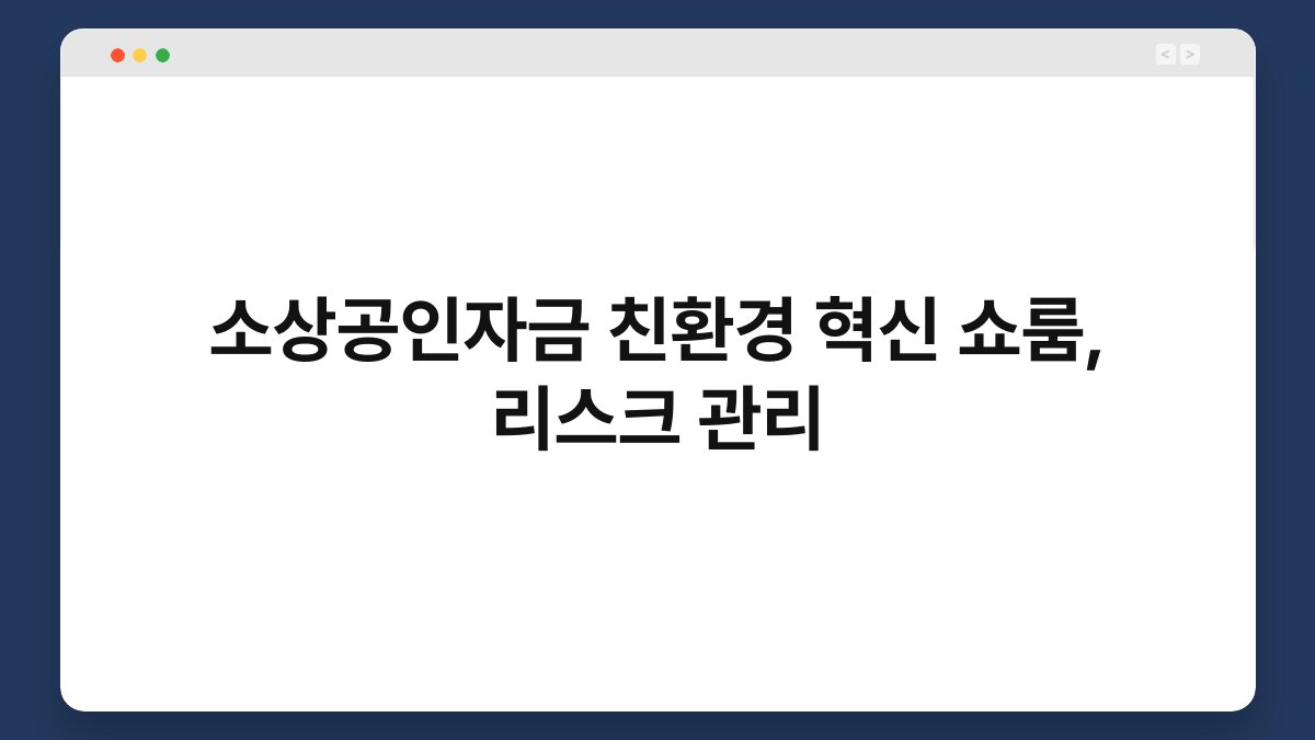 소상공인자금 친환경 혁신 쇼룸, 리스크 관리 1