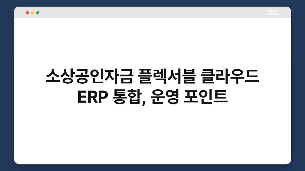 소상공인자금 플렉서블 클라우드 ERP 통합, 운영 포인트 1