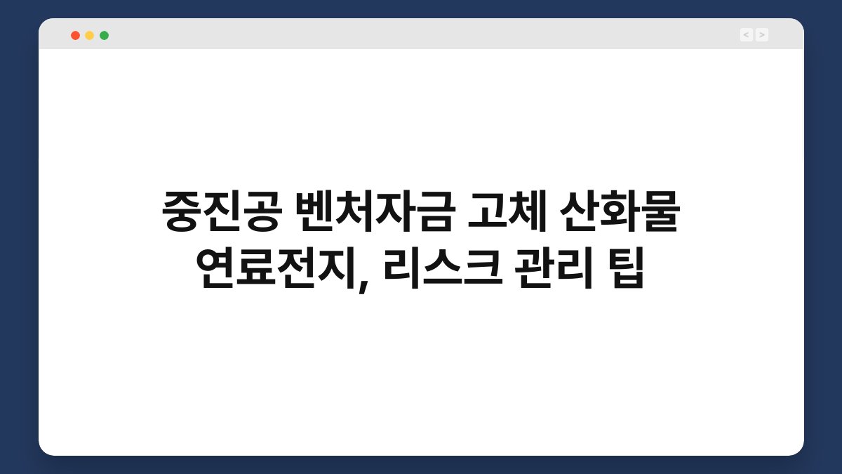 중진공 벤처자금 고체 산화물 연료전지, 리스크 관리 팁 1