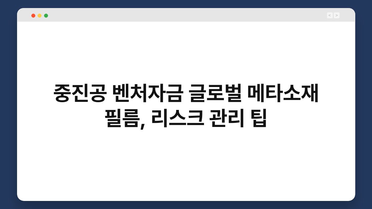 중진공 벤처자금 글로벌 메타소재 필름, 리스크 관리 팁 1