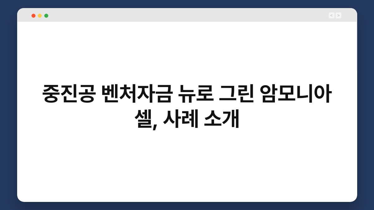 중진공 벤처자금 뉴로 그린 암모니아 셀, 사례 소개 1