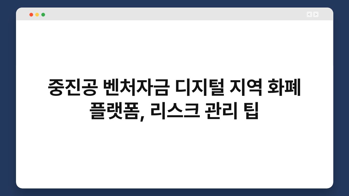 중진공 벤처자금 디지털 지역 화폐 플랫폼, 리스크 관리 팁 1