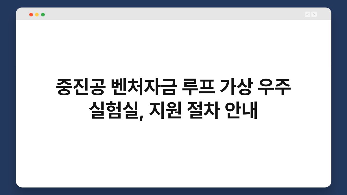 중진공 벤처자금 루프 가상 우주 실험실, 지원 절차 안내 1