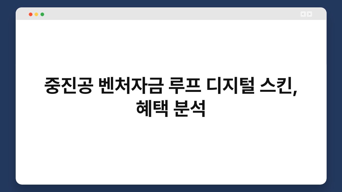중진공 벤처자금 루프 디지털 스킨, 혜택 분석 1