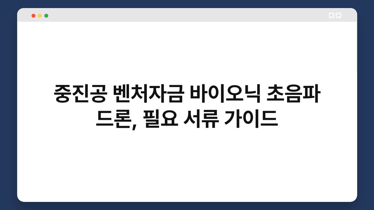 중진공 벤처자금 바이오닉 초음파 드론, 필요 서류 가이드 1