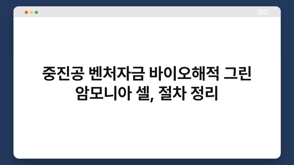 중진공 벤처자금 바이오해적 그린 암모니아 셀, 절차 정리 1