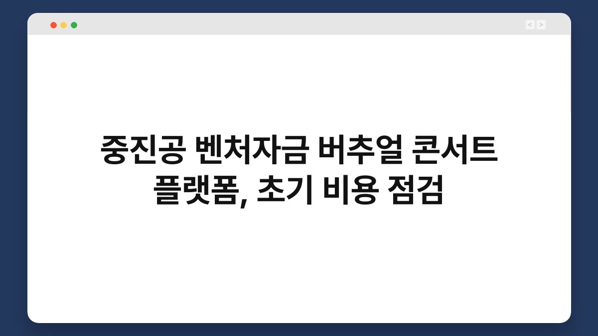 중진공 벤처자금 버추얼 콘서트 플랫폼, 초기 비용 점검 1