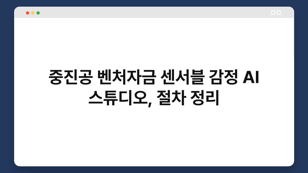 중진공 벤처자금 센서블 감정 AI 스튜디오, 절차 정리 1