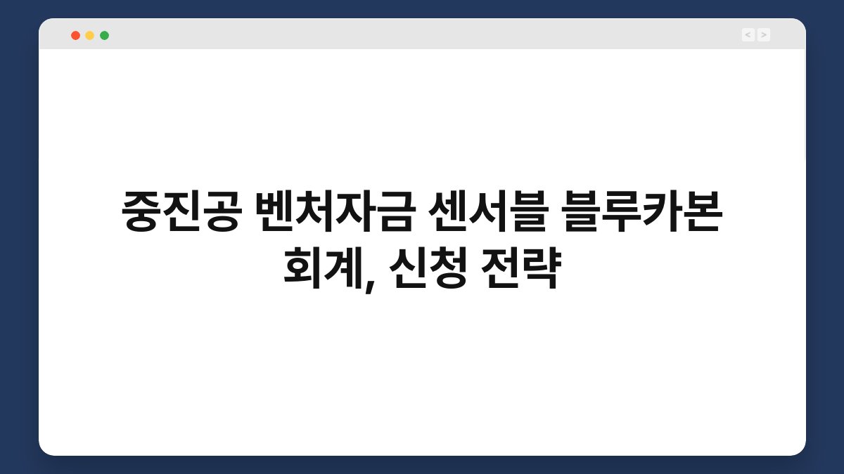 중진공 벤처자금 센서블 블루카본 회계, 신청 전략 1