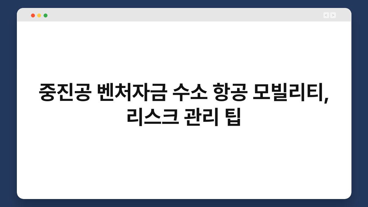 중진공 벤처자금 수소 항공 모빌리티, 리스크 관리 팁 1