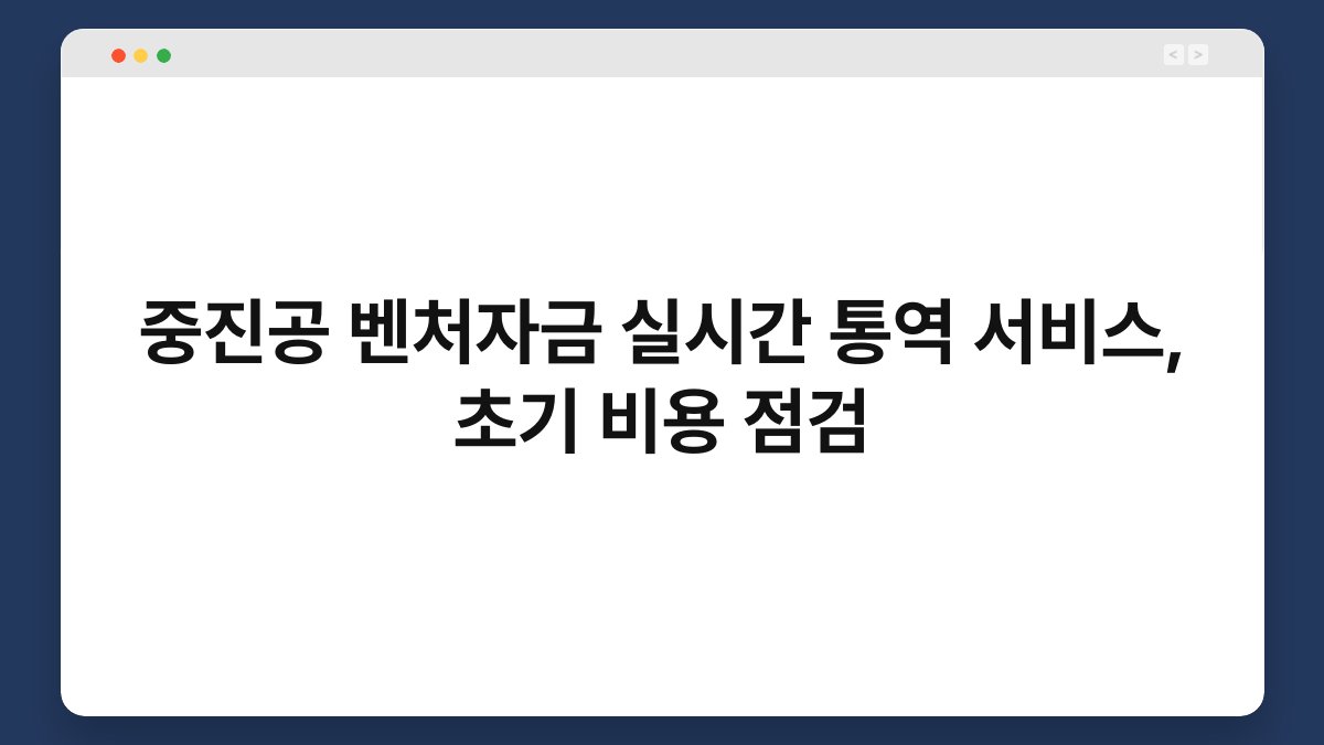 중진공 벤처자금 실시간 통역 서비스, 초기 비용 점검 1