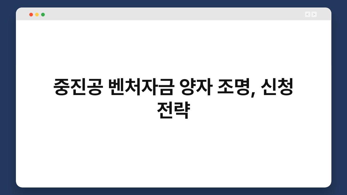 중진공 벤처자금 양자 조명, 신청 전략 1