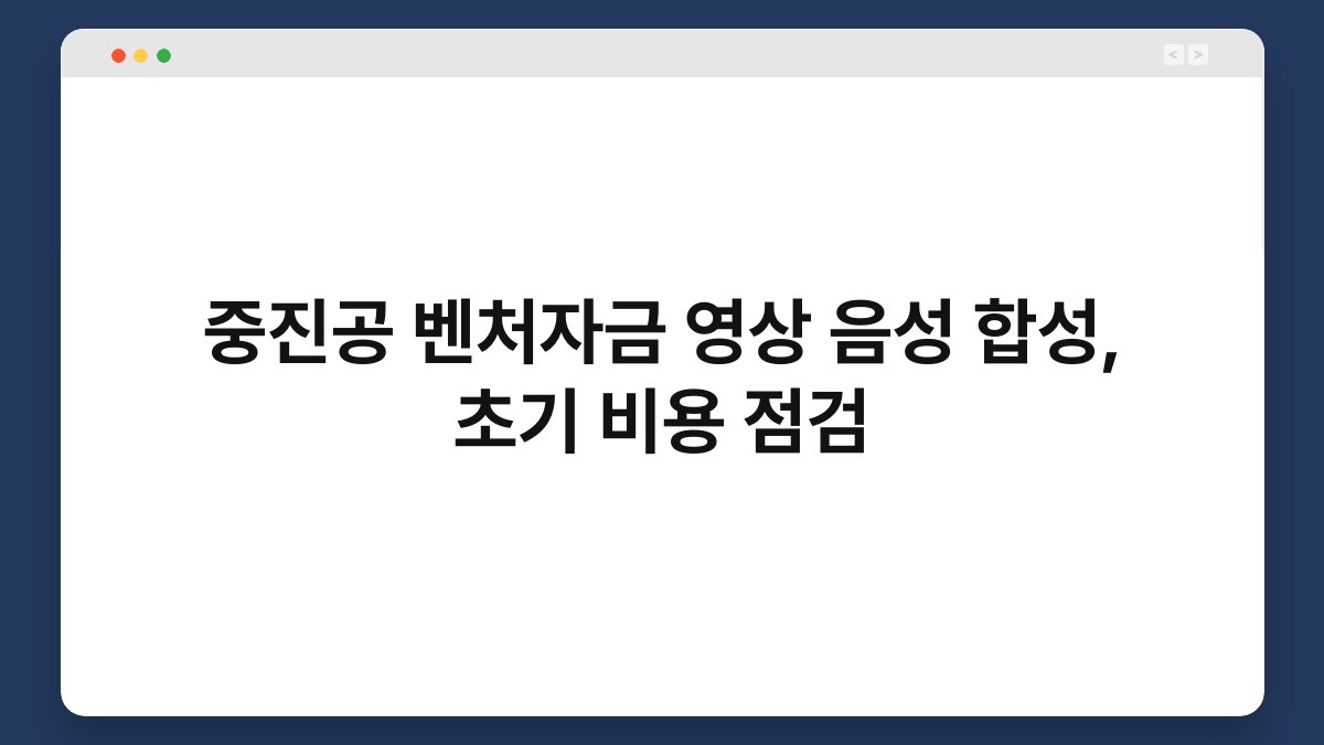 중진공 벤처자금 영상 음성 합성, 초기 비용 점검 1