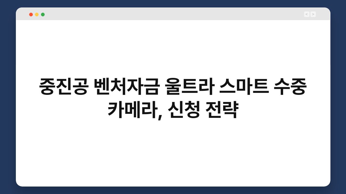 중진공 벤처자금 울트라 스마트 수중 카메라, 신청 전략 1