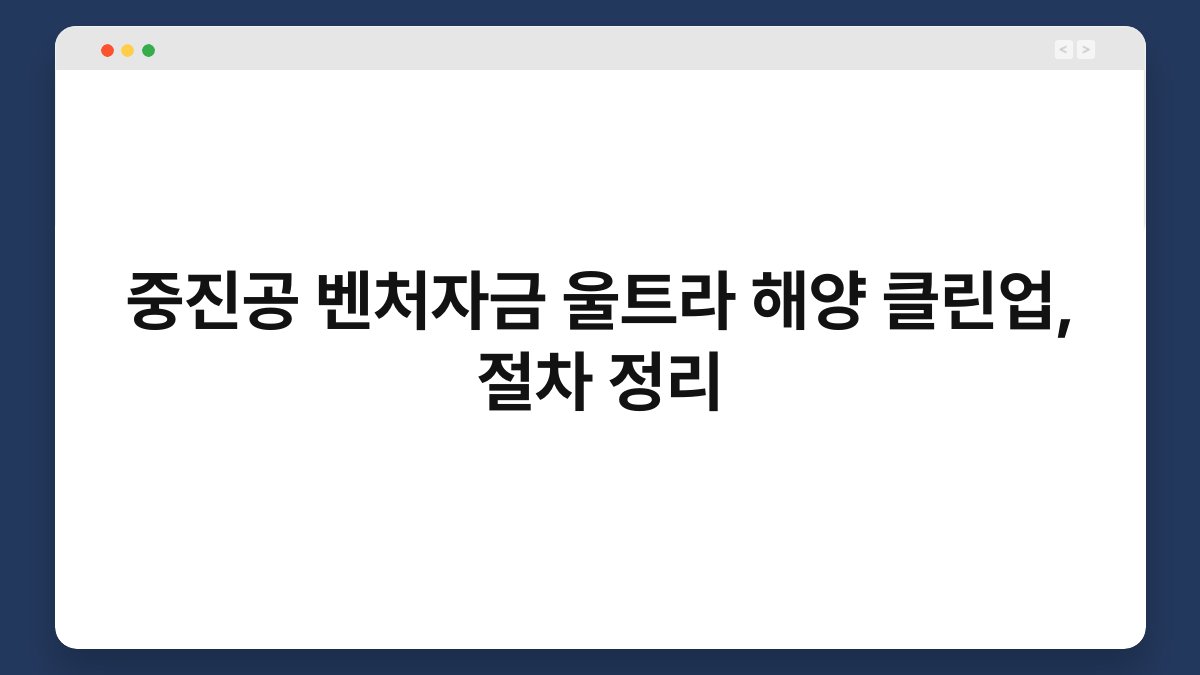 중진공 벤처자금 울트라 해양 클린업, 절차 정리 1
