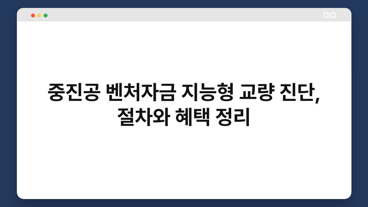 중진공 벤처자금 지능형 교량 진단, 절차와 혜택 정리 1