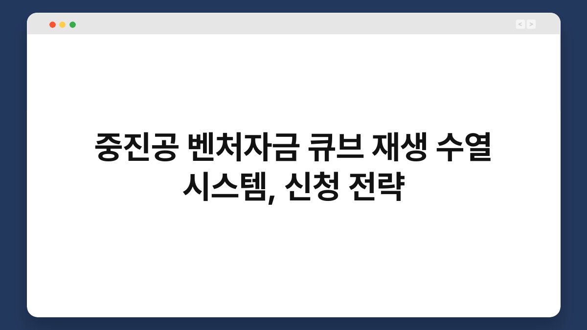 중진공 벤처자금 큐브 재생 수열 시스템, 신청 전략 1