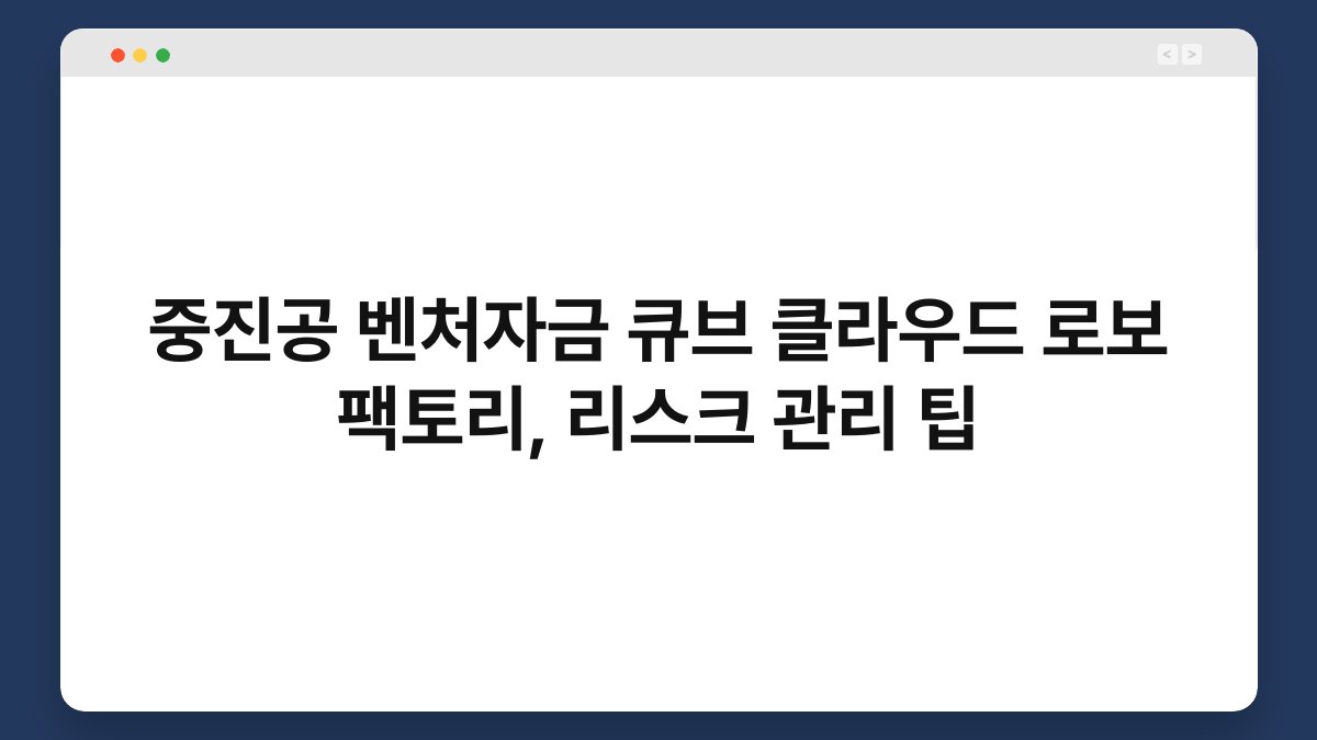 중진공 벤처자금 큐브 클라우드 로보 팩토리, 리스크 관리 팁 1