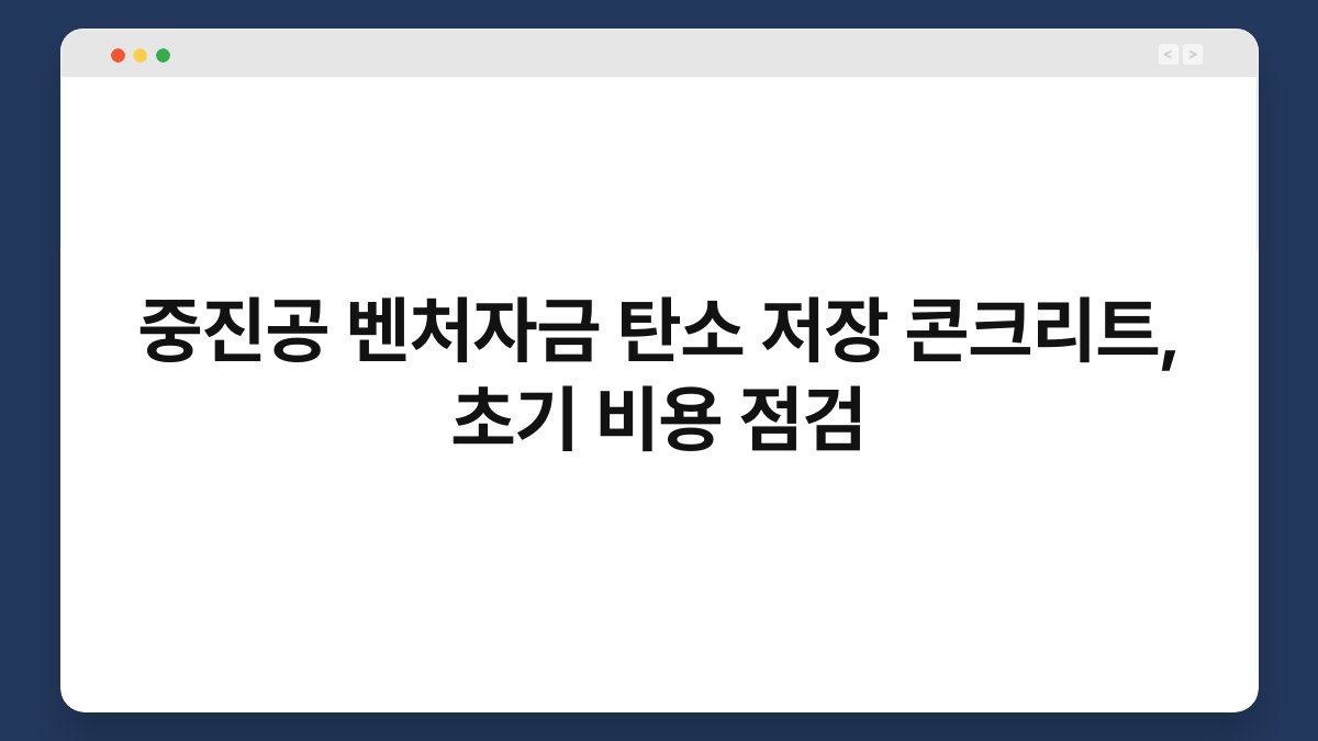 중진공 벤처자금 탄소 저장 콘크리트, 초기 비용 점검 1