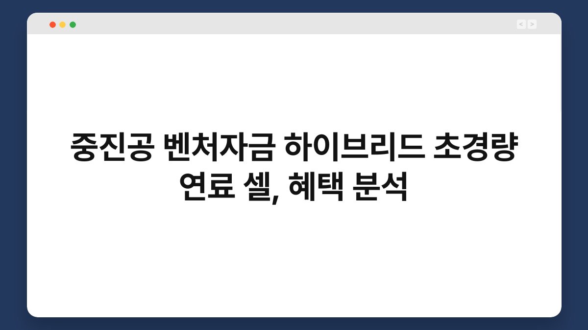 중진공 벤처자금 하이브리드 초경량 연료 셀, 혜택 분석 1