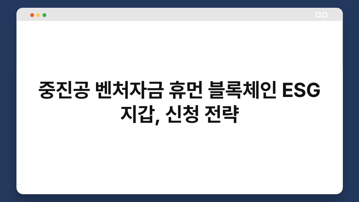중진공 벤처자금 휴먼 블록체인 ESG 지갑, 신청 전략 1