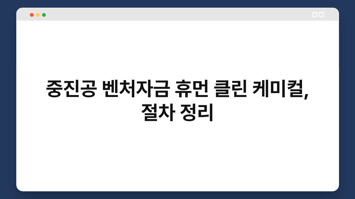 중진공 벤처자금 휴먼 클린 케미컬, 절차 정리 1