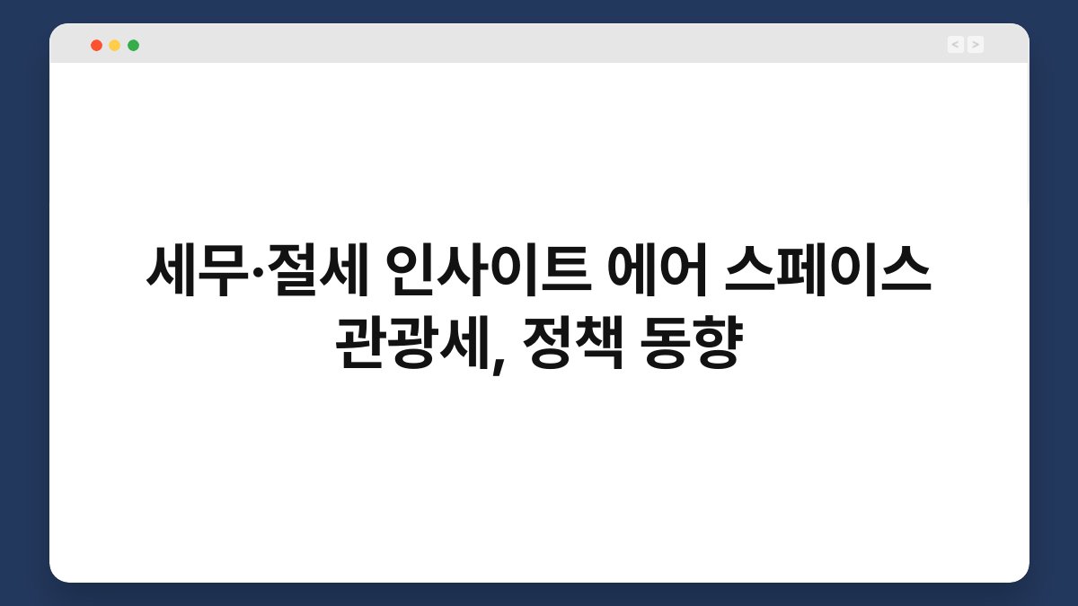 세무·절세 인사이트 에어 스페이스 관광세, 정책 동향 1
