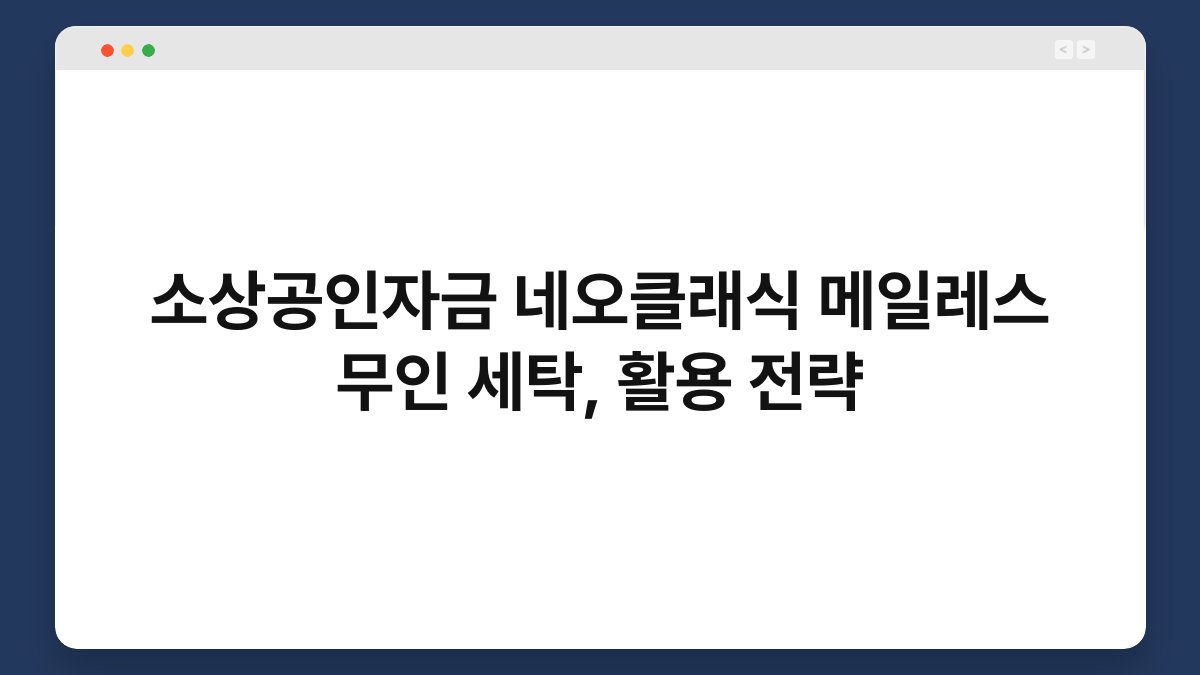소상공인자금 네오클래식 메일레스 무인 세탁, 활용 전략 1