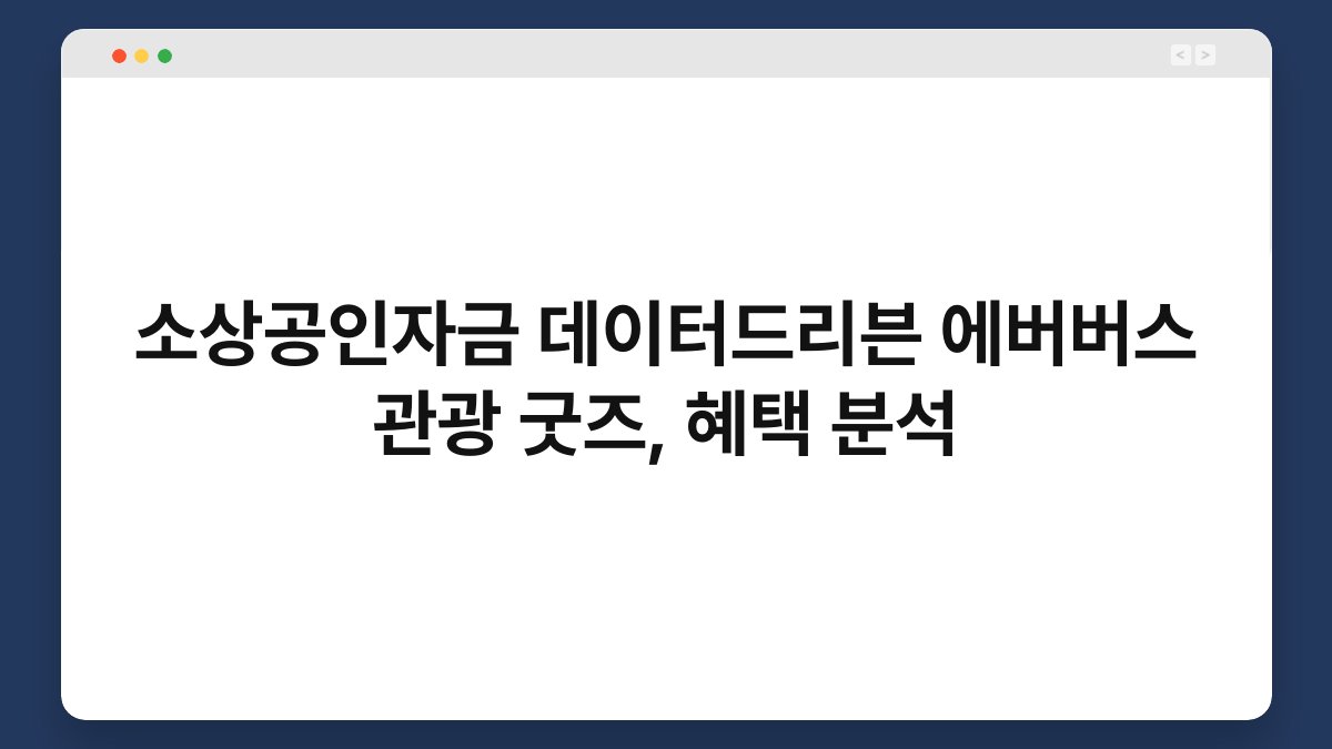 소상공인자금 데이터드리븐 에버버스 관광 굿즈, 혜택 분석 1