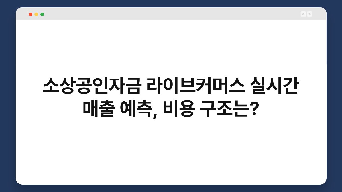 소상공인자금 라이브커머스 실시간 매출 예측, 비용 구조는? 1