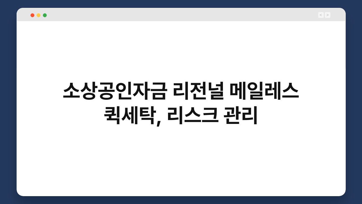 소상공인자금 리전널 메일레스 퀵세탁, 리스크 관리 1