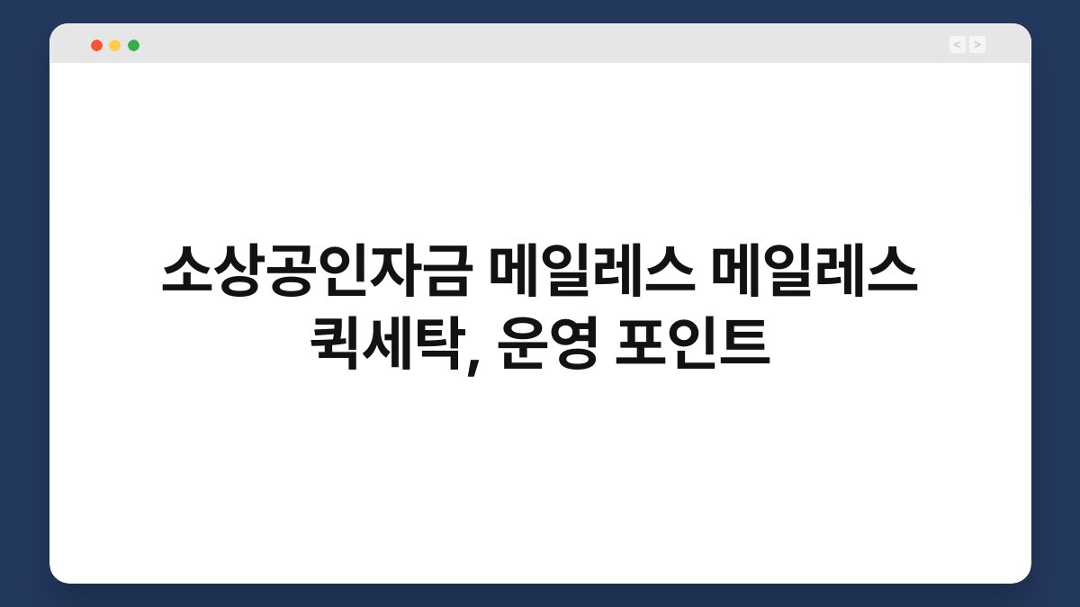 소상공인자금 메일레스 메일레스 퀵세탁, 운영 포인트 1
