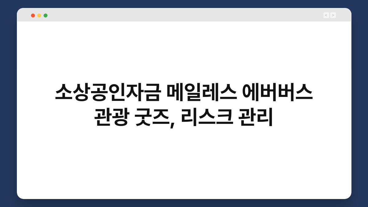 소상공인자금 메일레스 에버버스 관광 굿즈, 리스크 관리 1