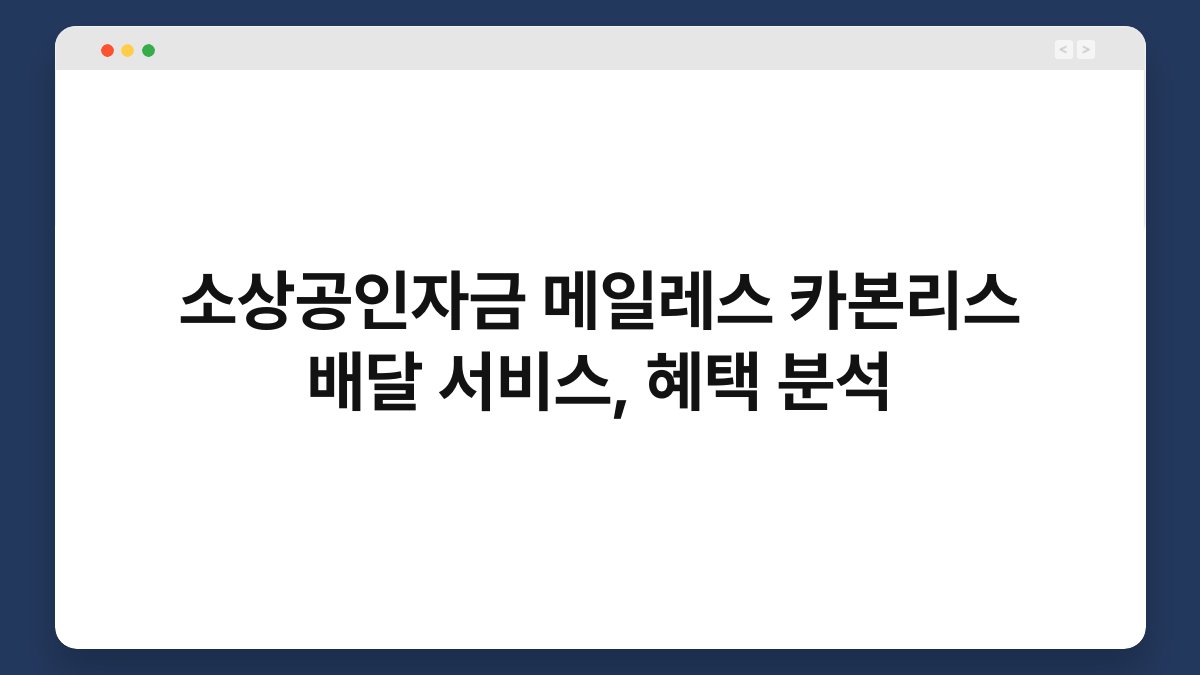 소상공인자금 메일레스 카본리스 배달 서비스, 혜택 분석 1