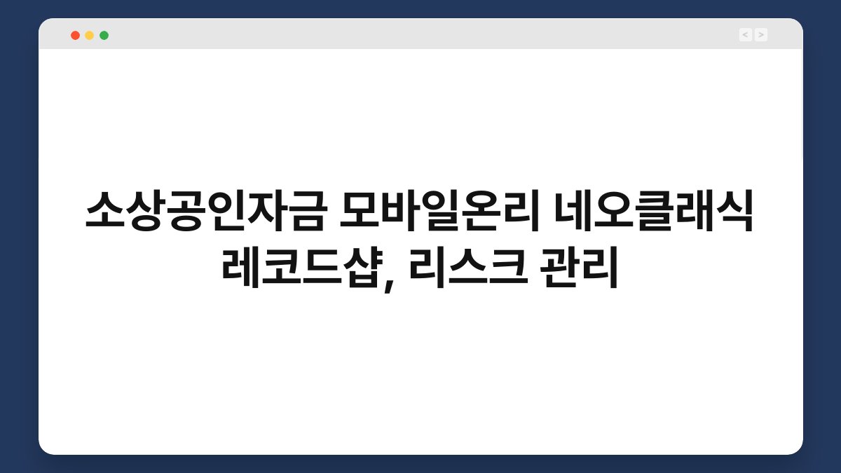 소상공인자금 모바일온리 네오클래식 레코드샵, 리스크 관리 1