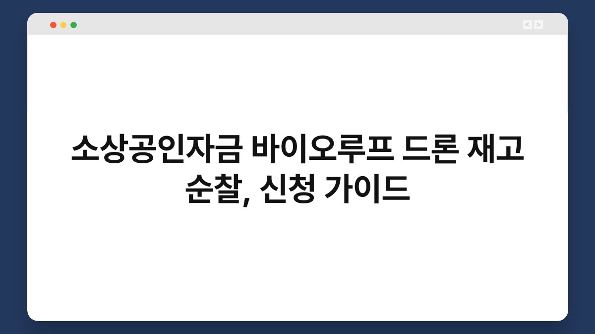 소상공인자금 바이오루프 드론 재고 순찰, 신청 가이드 1